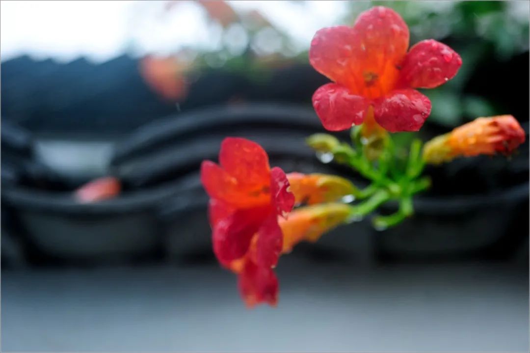 心情好，一切都好