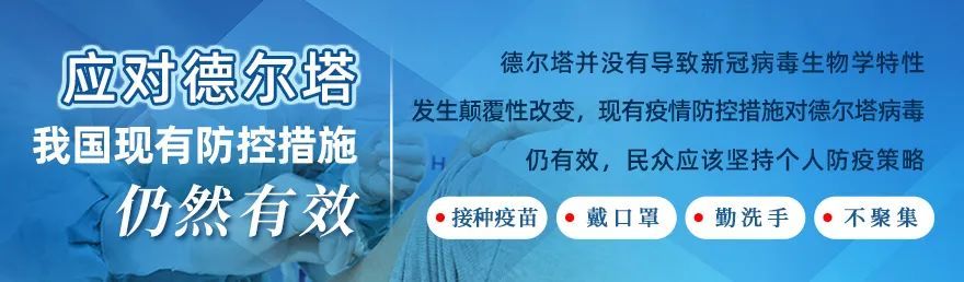 番木瓜是什么,番木瓜是什么樣子的