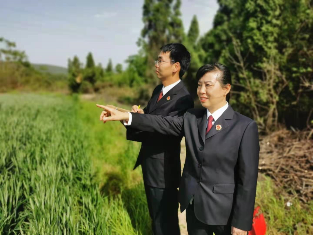 【民事检察】一波三折的土地纠纷案