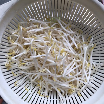 豆芽炒肉,豆芽炒肉的家常做法
