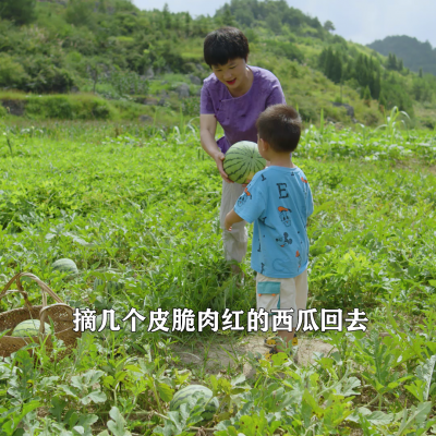 西瓜皮的做法,西瓜皮的做法大全 菜譜