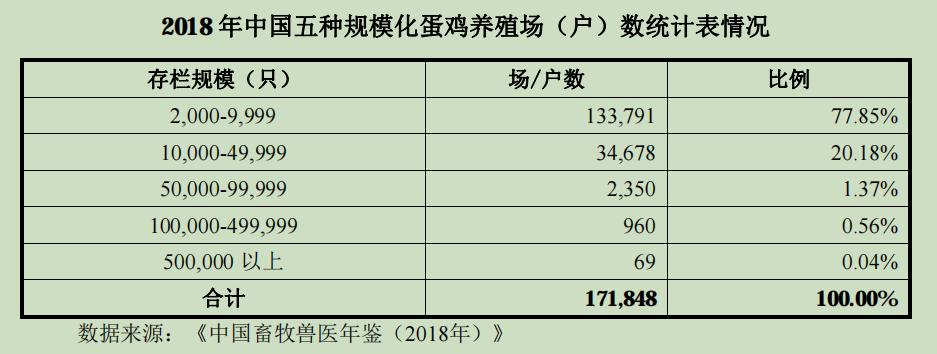 中国蛋鸡40年:四大育种困境待突破,未来20年是黄金期