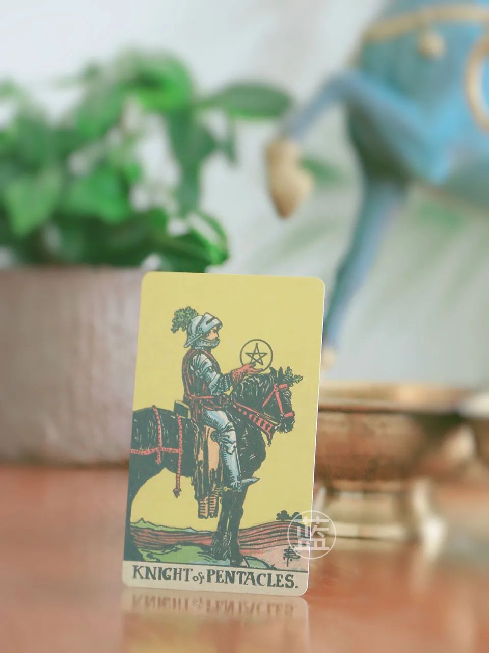 「感情運勢提前知」0828-0903一周感情運勢:喜歡一個人,就像親手把種子埋在土壤裡…… 愛情運勢 第22張-戀愛小秘書-娜米 「感情運勢提前知」0828-0903一周感情運勢:喜歡一個人,就像親手把種子埋在土壤裡…… 愛情運勢 第22張