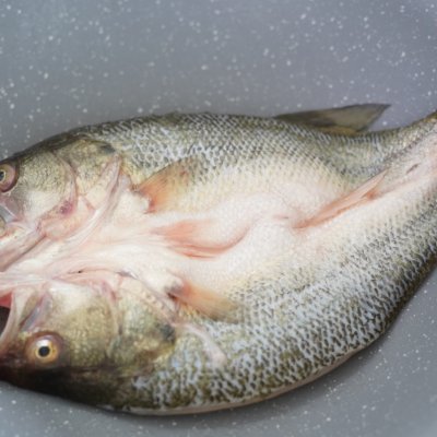 酸湯魚,酸湯魚的做法最正宗的做法