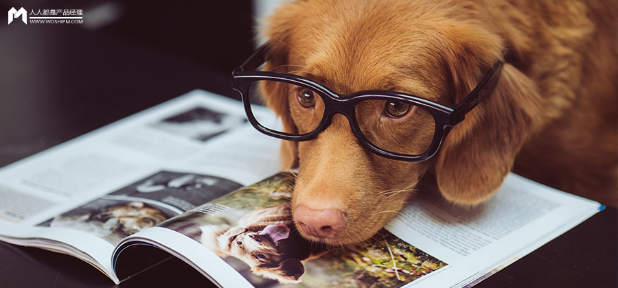 视频消费增长点：除了萌，宠物类内容还有哪些魔力？