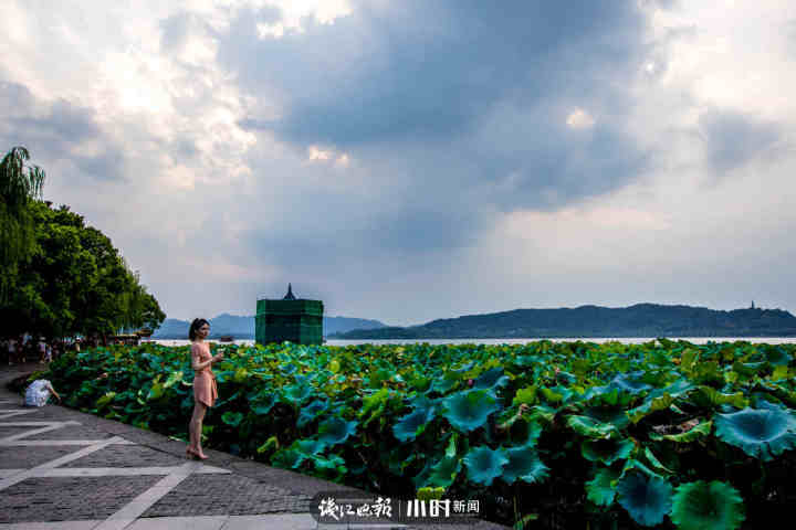好摄｜西湖边拍日落最有名的集贤亭，怎么被“包裹”起来了？