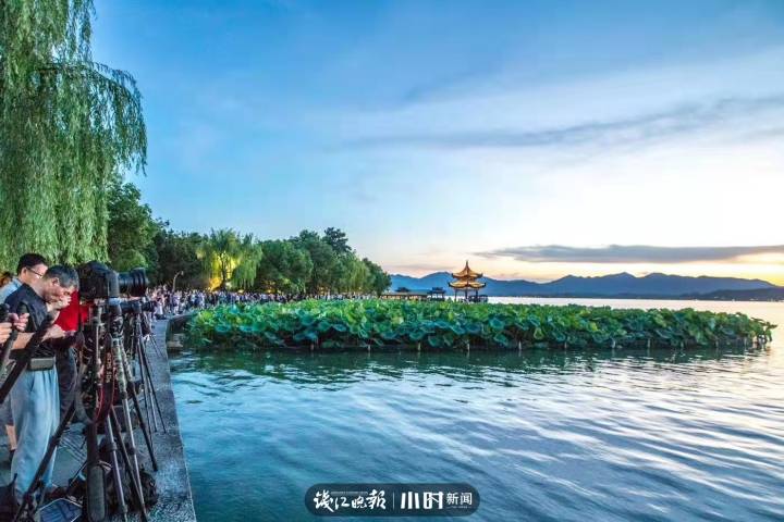 好摄｜西湖边拍日落最有名的集贤亭，怎么被“包裹”起来了？