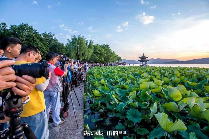 好摄|西湖边拍日落最有名的集贤亭,怎么被“包裹”起来了?