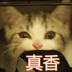深圳公租房申请,深圳公租房申请网站入口