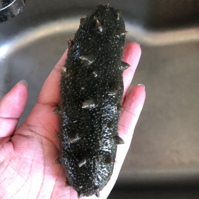 海參如何泡發,海參如何泡發步驟