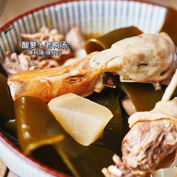 鸭子炖萝卜汤的做法(香醇炖品，家常美味传承)
