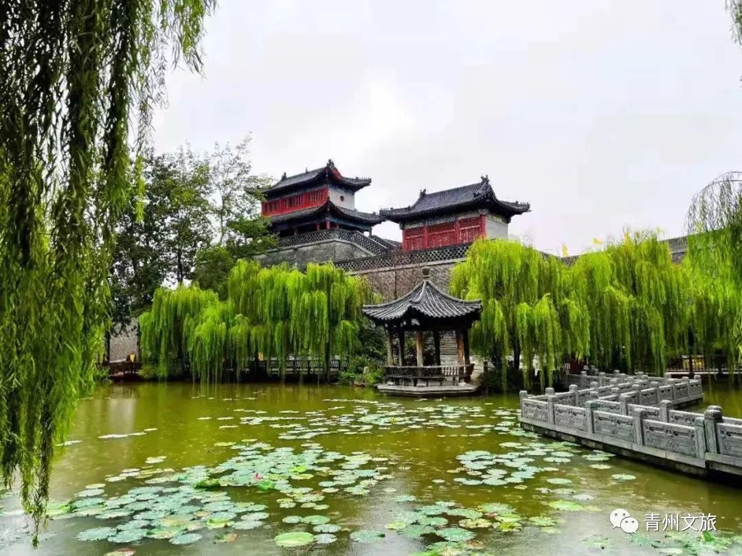 飒飒秋雨中，青州古城有多美......