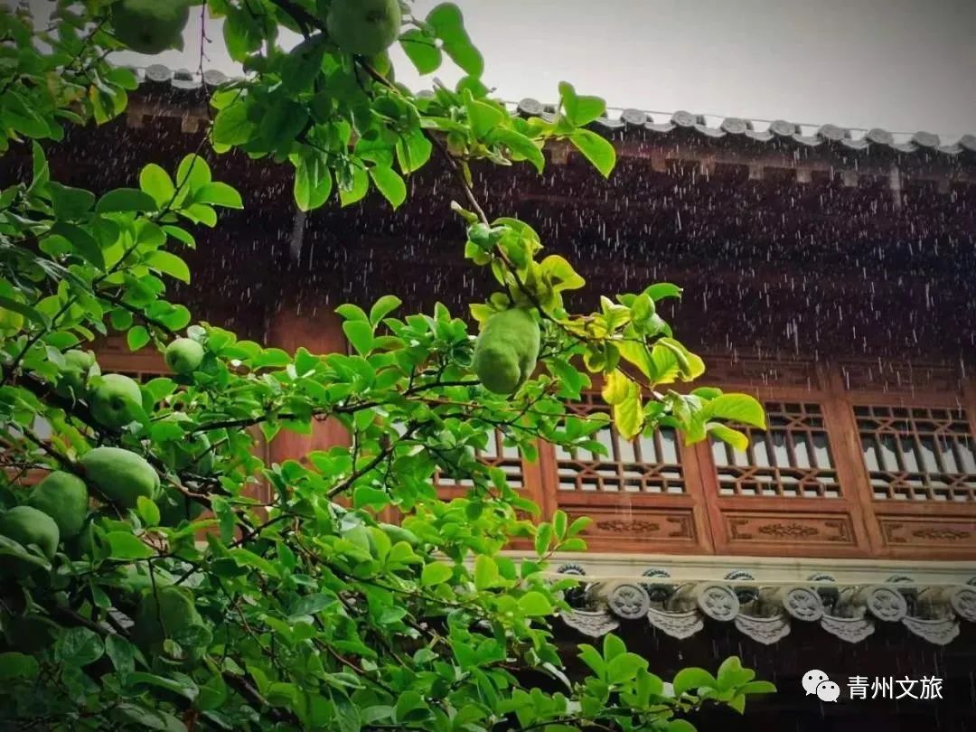 飒飒秋雨中，青州古城有多美......