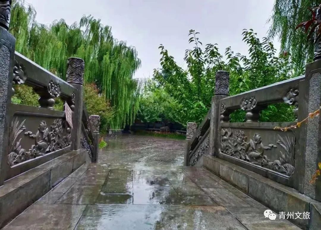 飒飒秋雨中，青州古城有多美......
