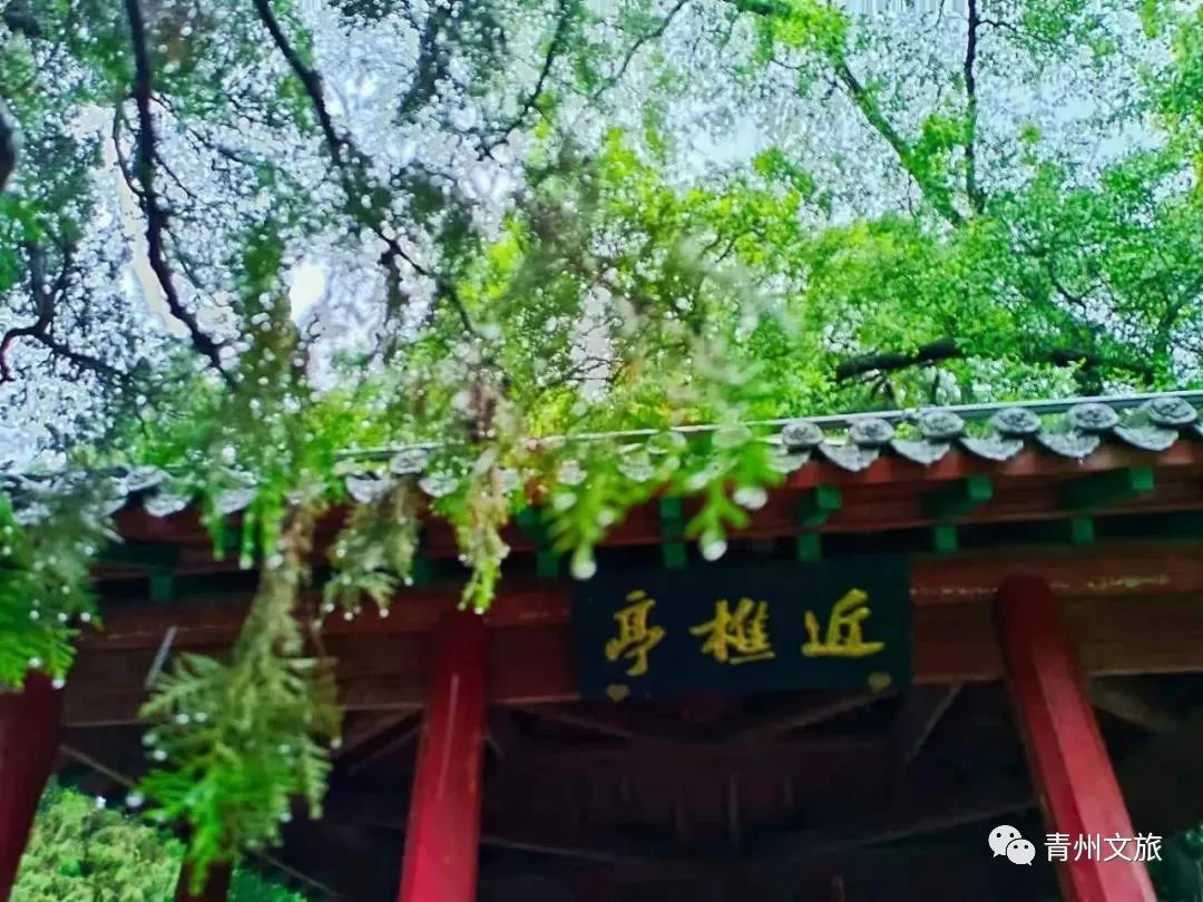 飒飒秋雨中，青州古城有多美......