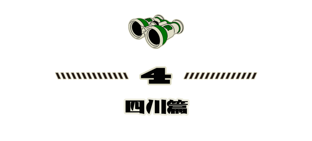 科目一考试题已经把各地网友逼到骂方言了