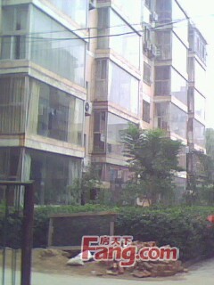 中原小区 VS 七府苑谁是你的菜？