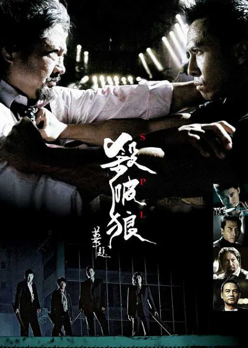 感受拳拳到肉的熱血！盤點(diǎn)推薦10部高評(píng)價(jià)動(dòng)作電影