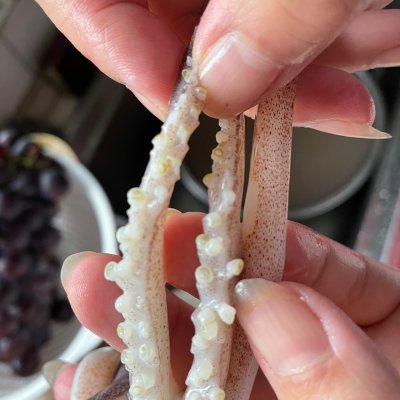 鲜鱿鱼(鲜鱿鱼怎么处理干净)-我的快乐小窝