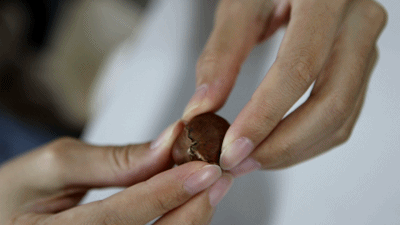 金味栗子，开卖
