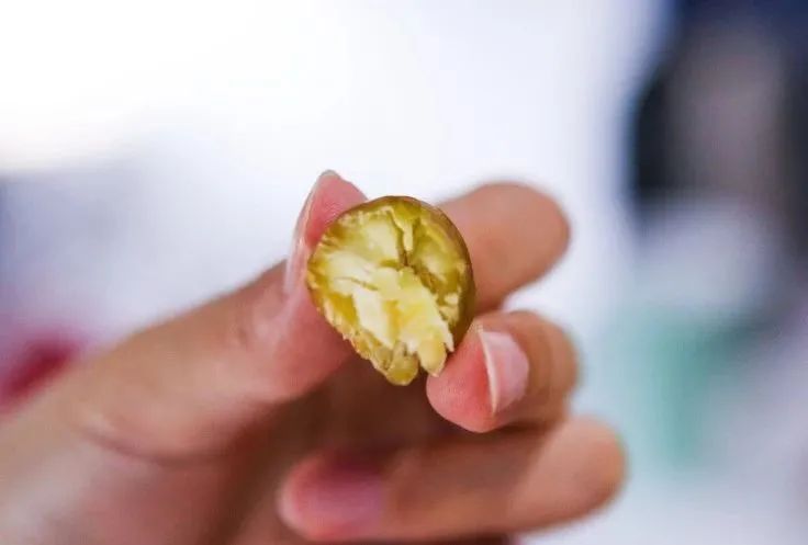 金味栗子，开卖
