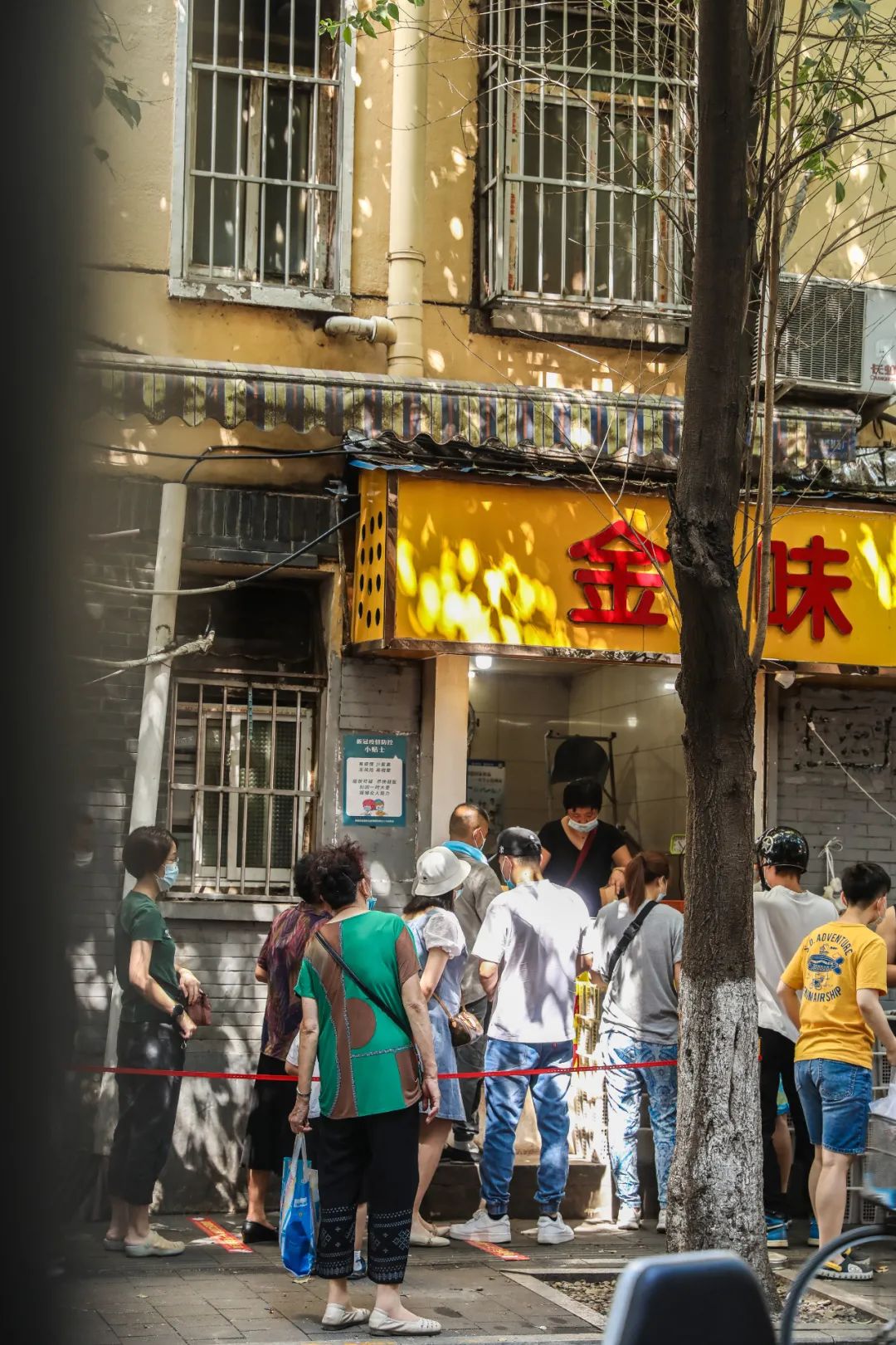 金味栗子，开卖