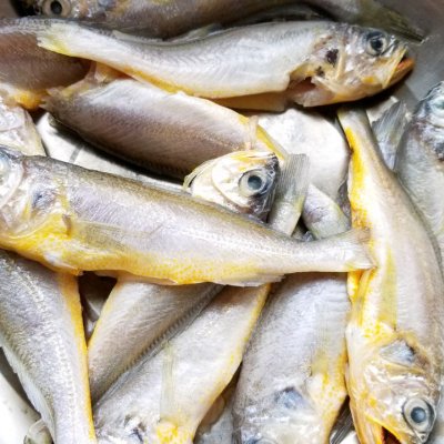 小黃魚的做法,小黃魚的做法大全家常做法大全