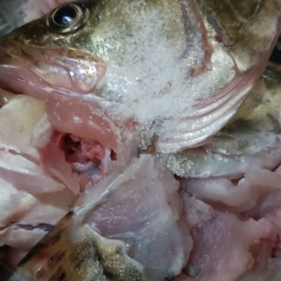 桂魚的家常做法,桂魚的家常做法大全