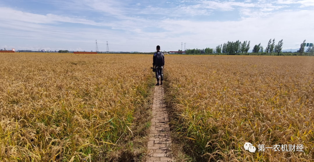 拋秧機，種田農(nóng)民的新選擇