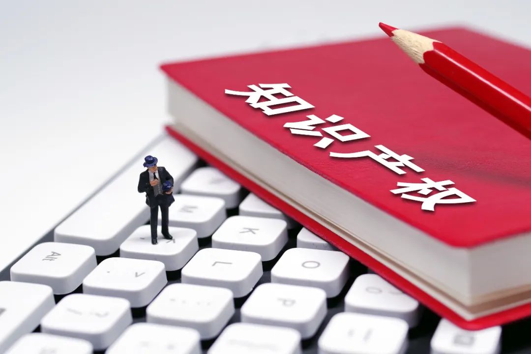 知识产权的国际保护,知识产权的国际保护杨帆pdf