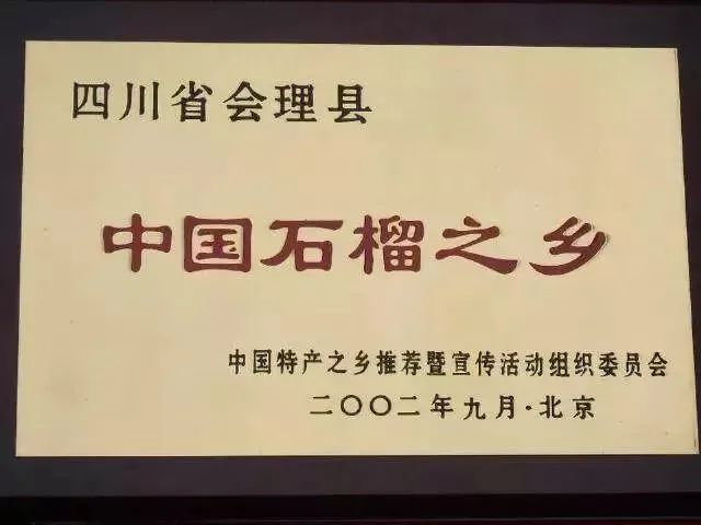 不用吐籽！好吃到爆！突尼斯软籽石榴，水果界的“雅诗兰黛”
