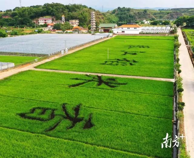 今日秋分，“丰”景这边独好！