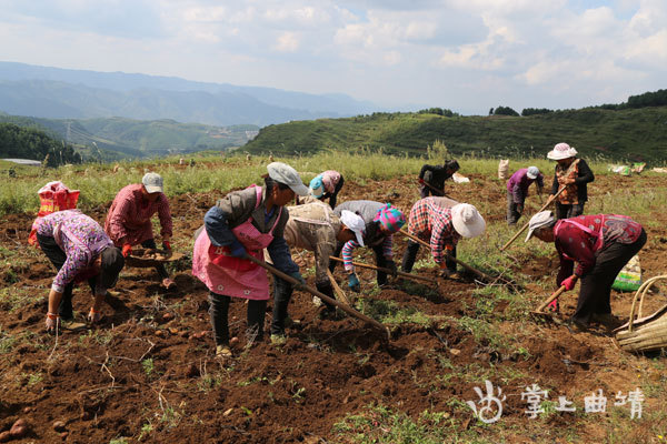 种养结合 助农增收——宝山镇乐红村特色种植养殖业发展小记