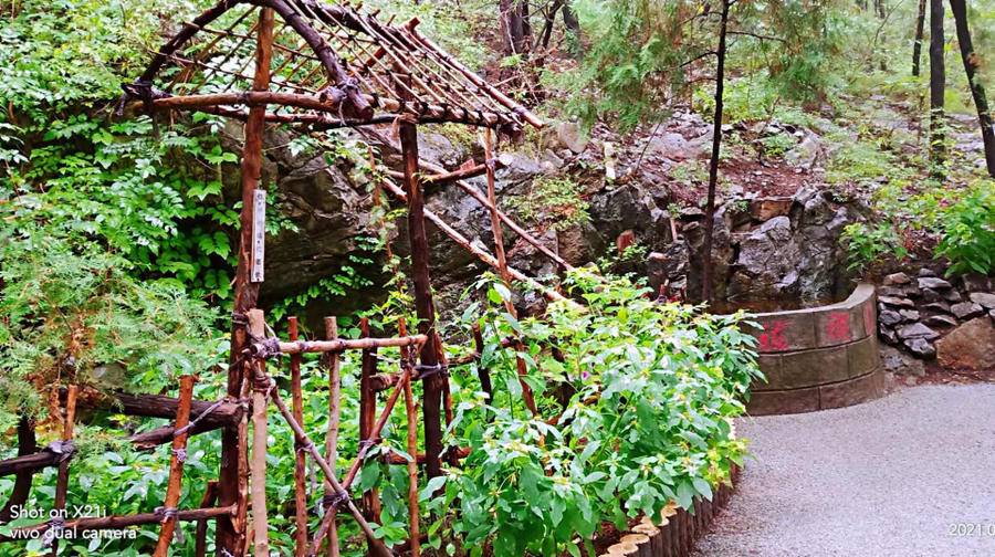 雨中山里走一走，看风景，洗尽风尘慰余生