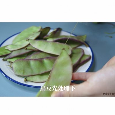 白扁豆的做法,白扁豆的做法大全