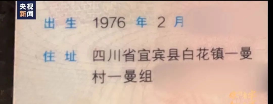 成人身份证和名字,成人身份证和名字查询大全