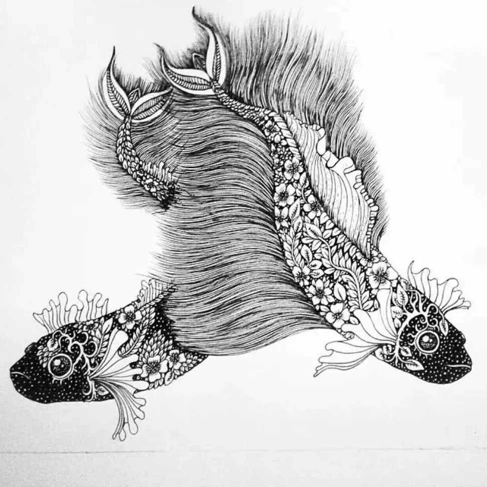 她笔下针管笔线描如此有趣且精致,看一眼,保证你喜欢上黑白插画