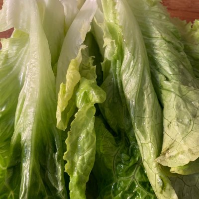 蠔油生菜,蠔油生菜的家常做法