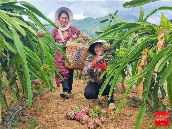 国庆镜头 | 秋风送爽 瓜果飘香