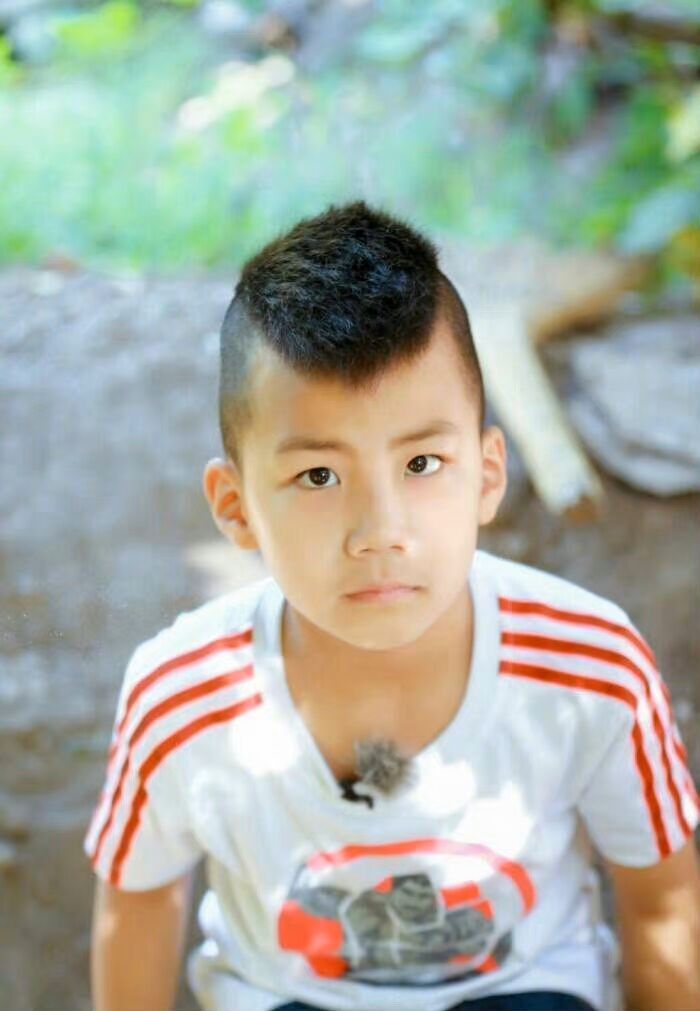 胡军儿子关于胡军儿子相关内容