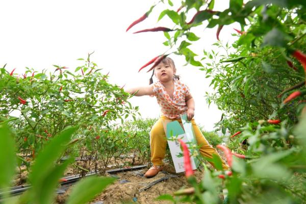 国庆期间,国庆期间,商场为了促销,将进价4800