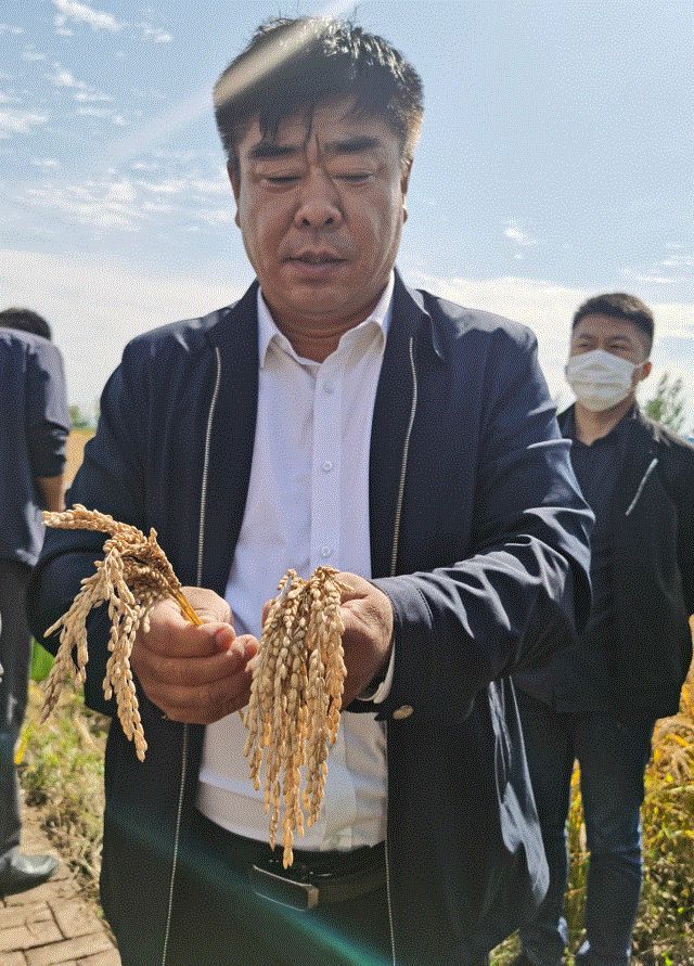 拋秧機，種田農(nóng)民的新選擇