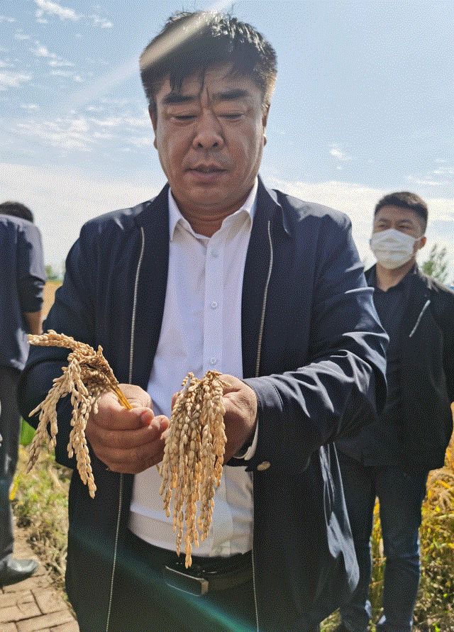 抛秧机，种田农民的新选择