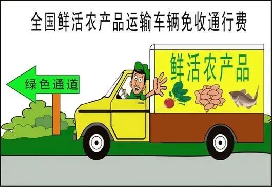 芥菜圖片,芥菜圖片薺菜圖片