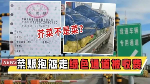 芥菜圖片,芥菜圖片薺菜圖片
