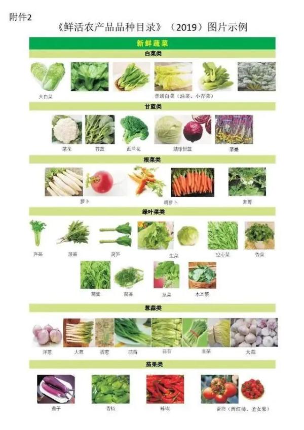 芥菜圖片,芥菜圖片薺菜圖片