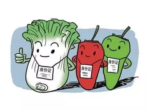 芥菜圖片,芥菜圖片薺菜圖片