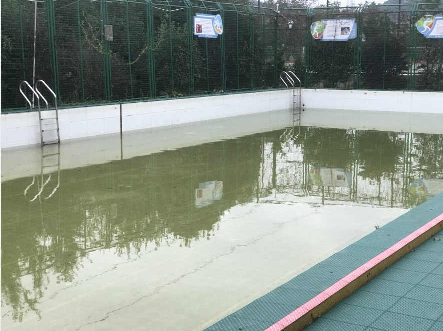 安顺虹湖小学已开设游泳课程,一半以上学生会(图1)