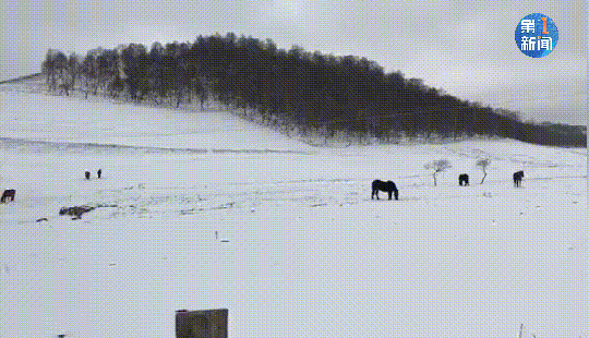 紧急响应III！咸阳，宝鸡，铜川......陕西有更多的降雪！西安雪......