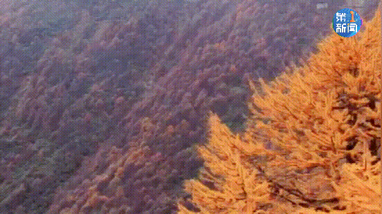 紧急响应III！咸阳，宝鸡，铜川......陕西有更多的降雪！西安雪......